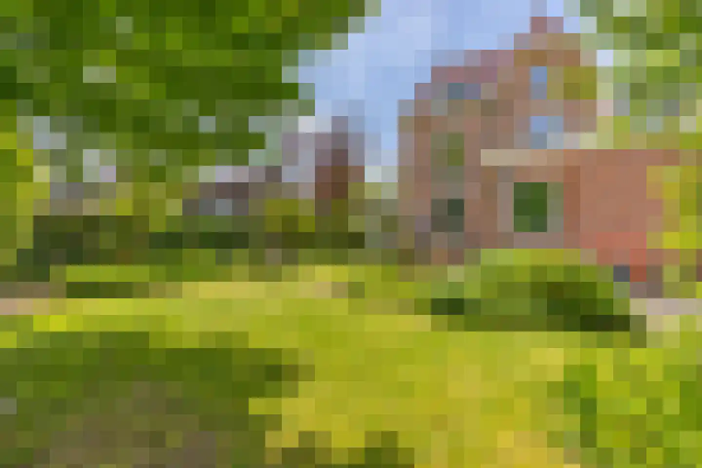 Oostsingel 123 Delft thumbnail 43