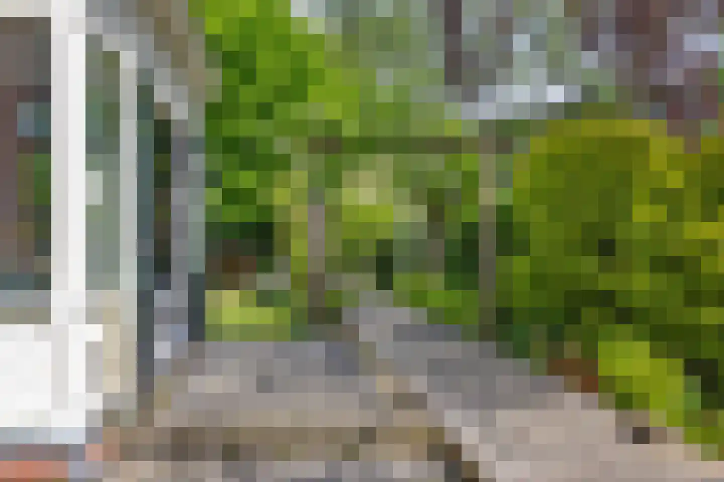 Oostsingel 123 Delft thumbnail 47