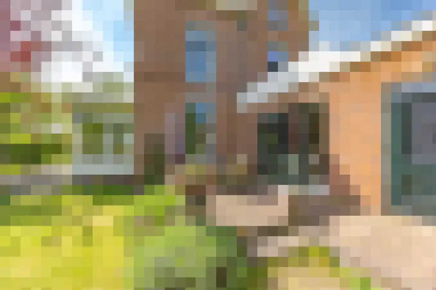Oostsingel 123 Delft thumbnail 50