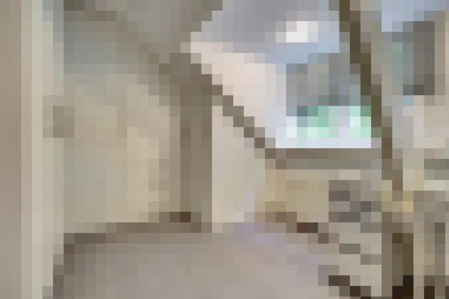 Oostsingel 128 Goes thumbnail 18