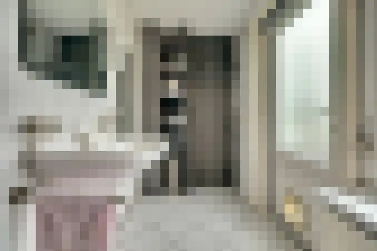 Oostsingel 128 Goes thumbnail 20