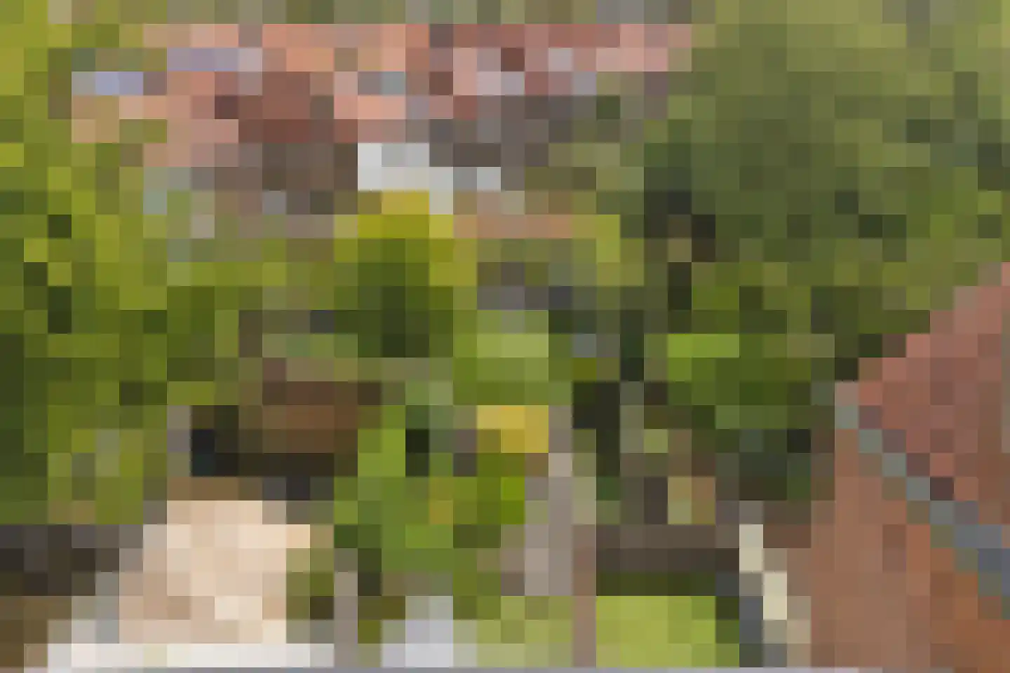 Oostsingel 128 Goes thumbnail 38