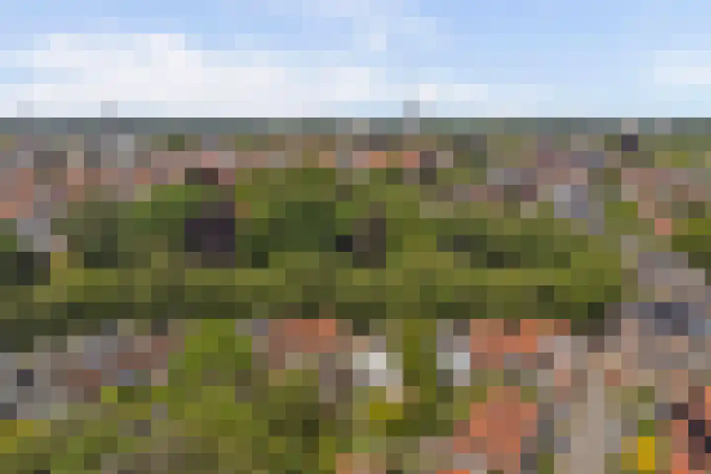 Oostsingel 128 Goes thumbnail 40