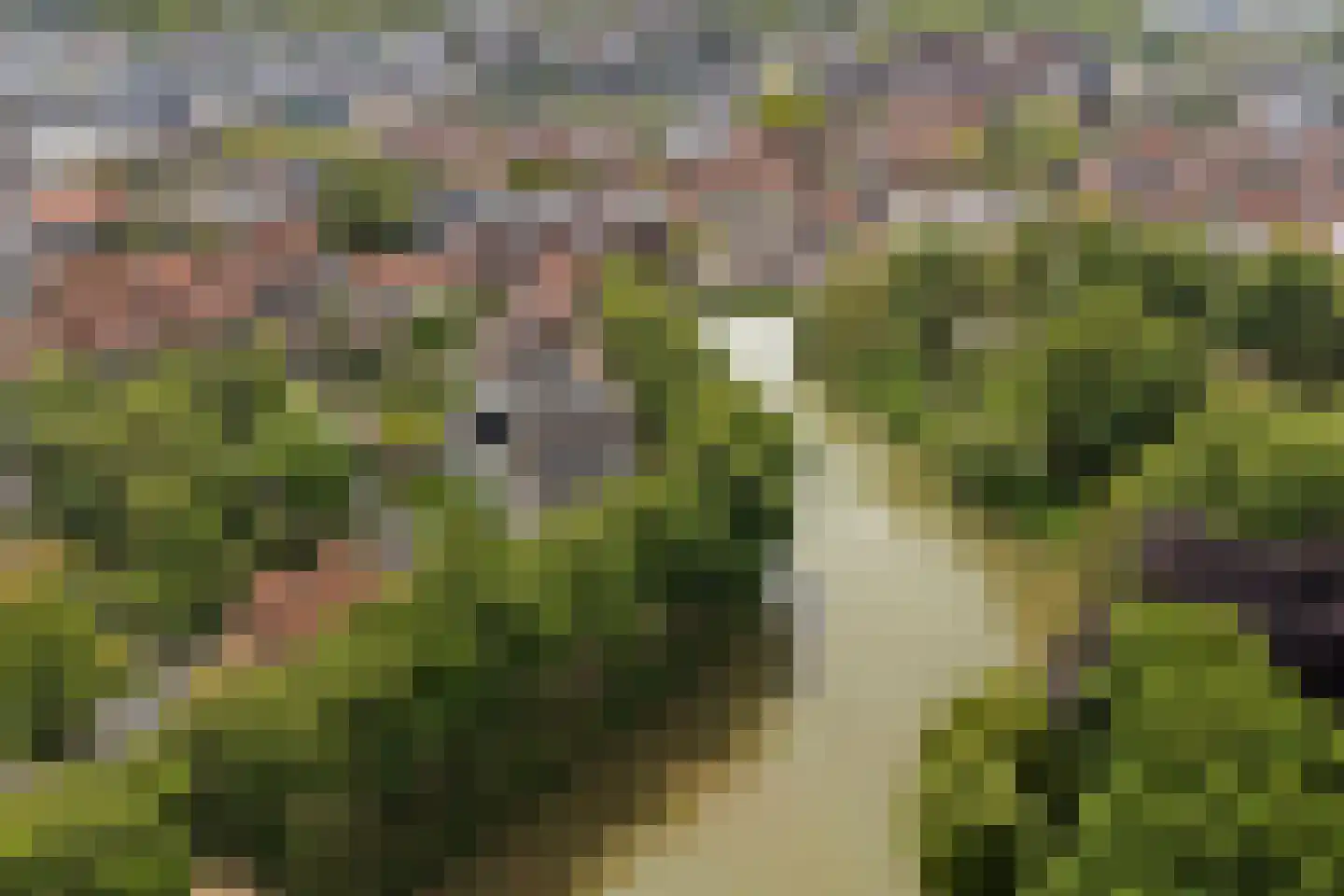 Oostsingel 128 Goes thumbnail 41