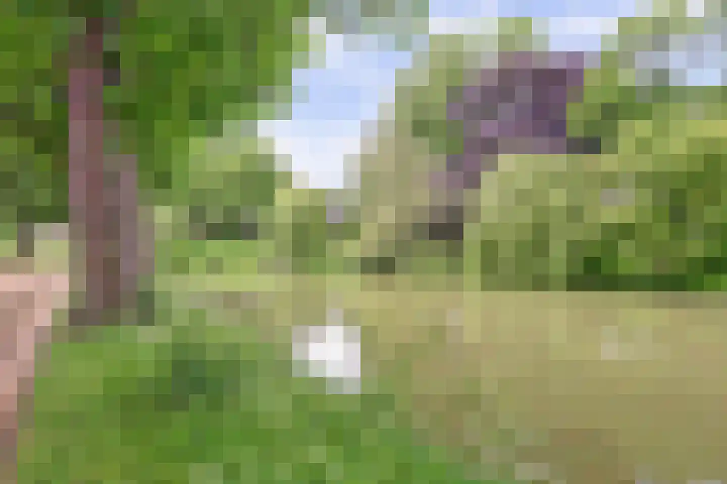 Oostsingel 128 Goes thumbnail 42