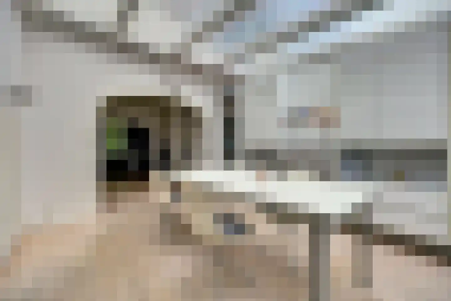 Oostsingel 128 Goes thumbnail 7