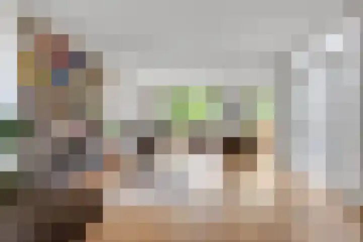 Oostsingel 14 Woerden thumbnail 10