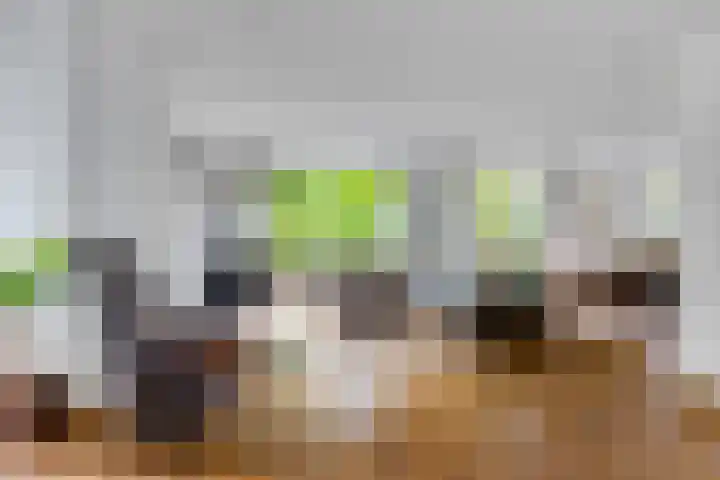 Oostsingel 14 Woerden thumbnail 11