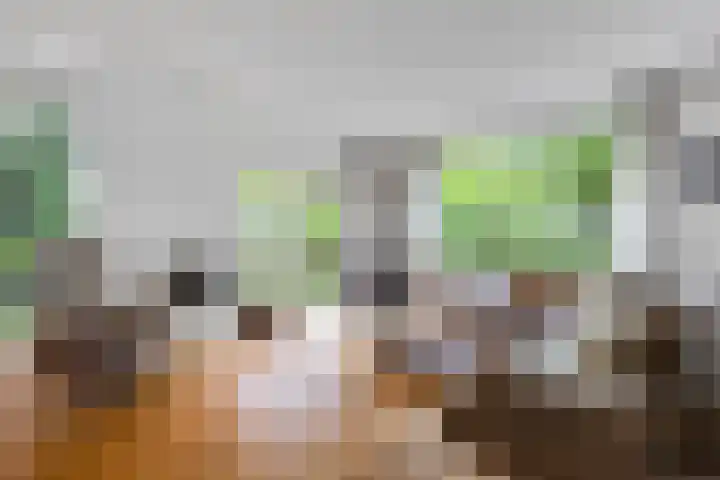 Oostsingel 14 Woerden thumbnail 12