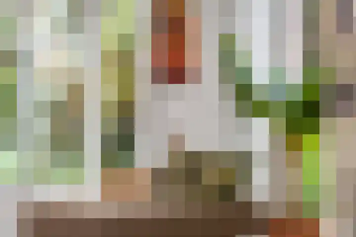 Oostsingel 14 Woerden thumbnail 13