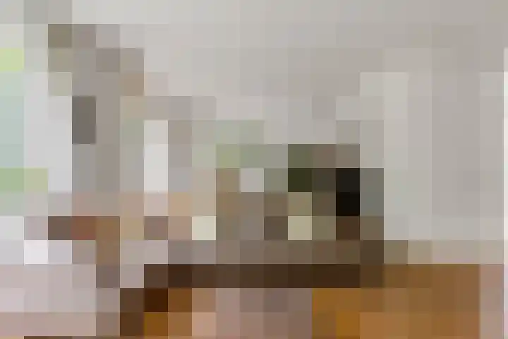 Oostsingel 14 Woerden thumbnail 14