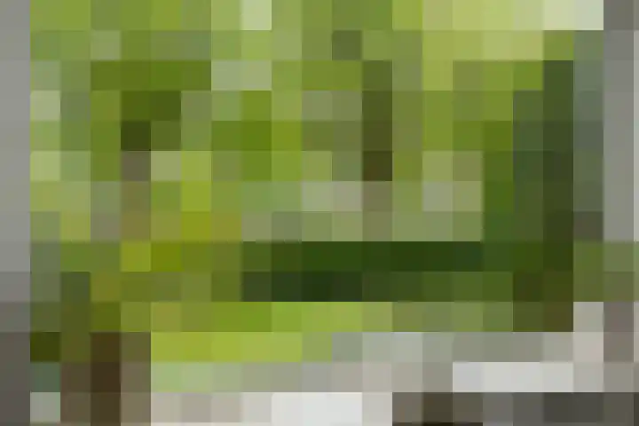 Oostsingel 14 Woerden thumbnail 15