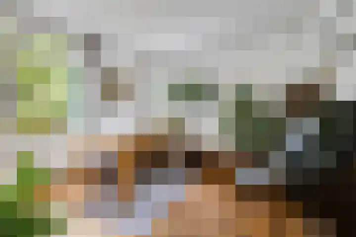 Oostsingel 14 Woerden thumbnail 16