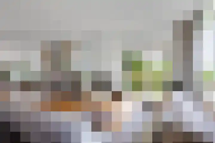 Oostsingel 14 Woerden thumbnail 21