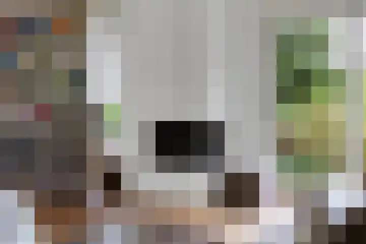 Oostsingel 14 Woerden thumbnail 22