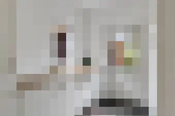 Oostsingel 14 Woerden thumbnail 32
