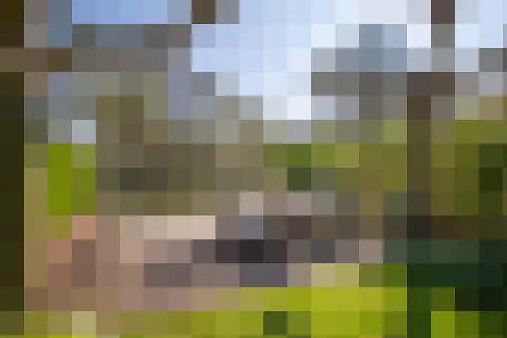 Oostsingel 14 Woerden thumbnail 4