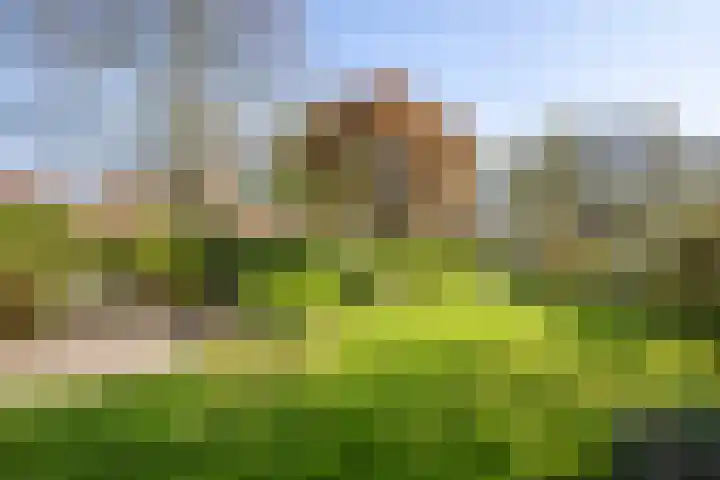 Oostsingel 14 Woerden thumbnail 56