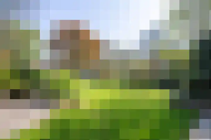 Oostsingel 14 Woerden thumbnail 57
