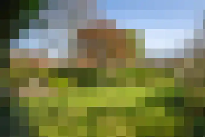 Oostsingel 14 Woerden thumbnail 58