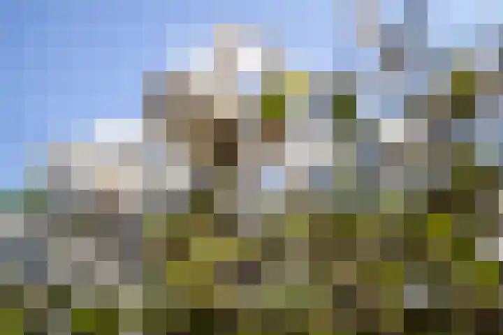 Oostsingel 14 Woerden thumbnail 59