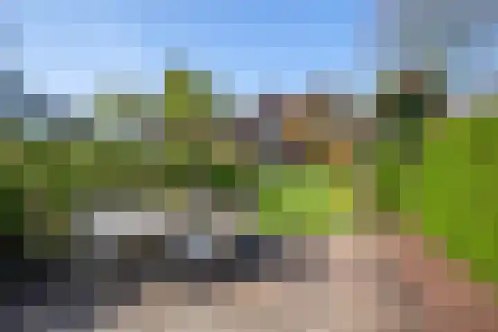 Oostsingel 14 Woerden thumbnail 60