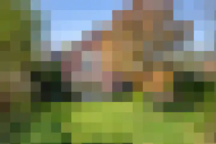 Oostsingel 14 Woerden thumbnail 61