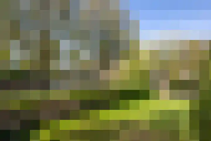 Oostsingel 14 Woerden thumbnail 65