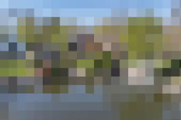 Oostsingel 14 Woerden thumbnail 67