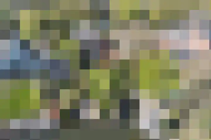 Oostsingel 14 Woerden thumbnail 68