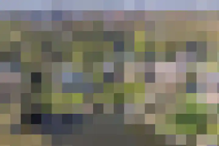 Oostsingel 14 Woerden thumbnail 69