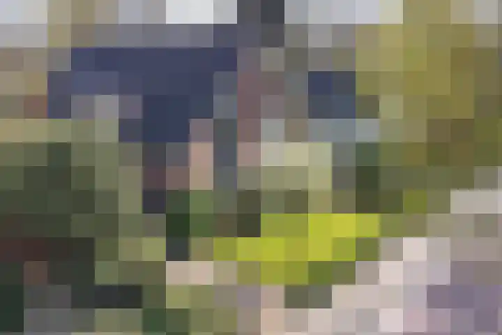 Oostsingel 14 Woerden thumbnail 7