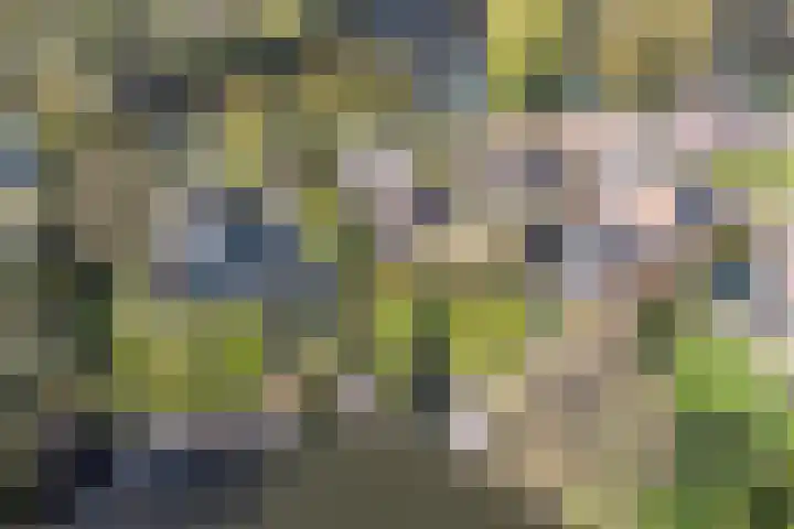 Oostsingel 14 Woerden thumbnail 70
