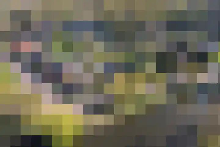 Oostsingel 14 Woerden thumbnail 72