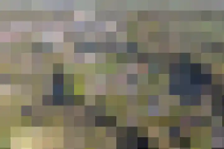 Oostsingel 14 Woerden thumbnail 74