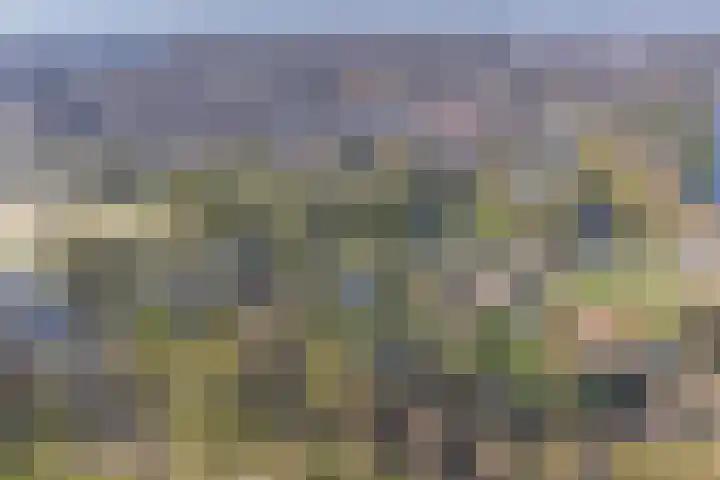 Oostsingel 14 Woerden thumbnail 77