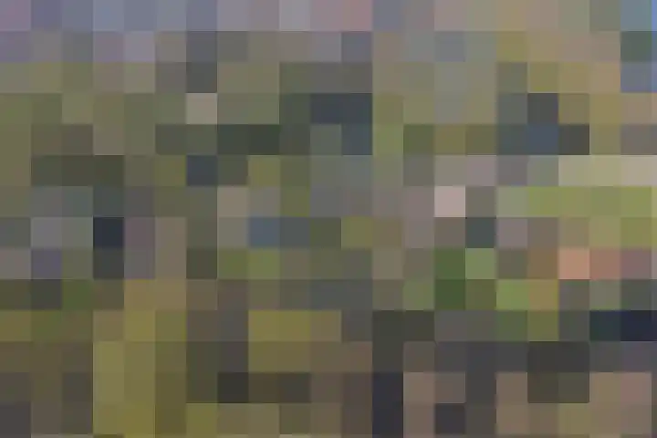 Oostsingel 14 Woerden thumbnail 78
