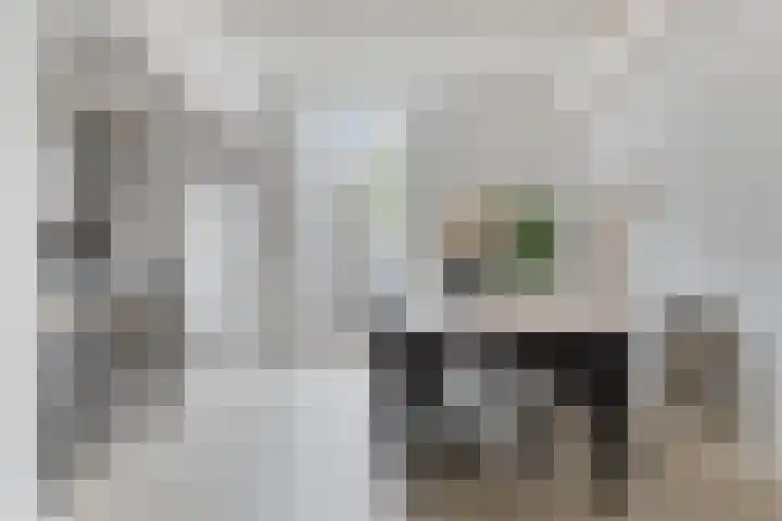Oostsingel 140 Goes thumbnail 13