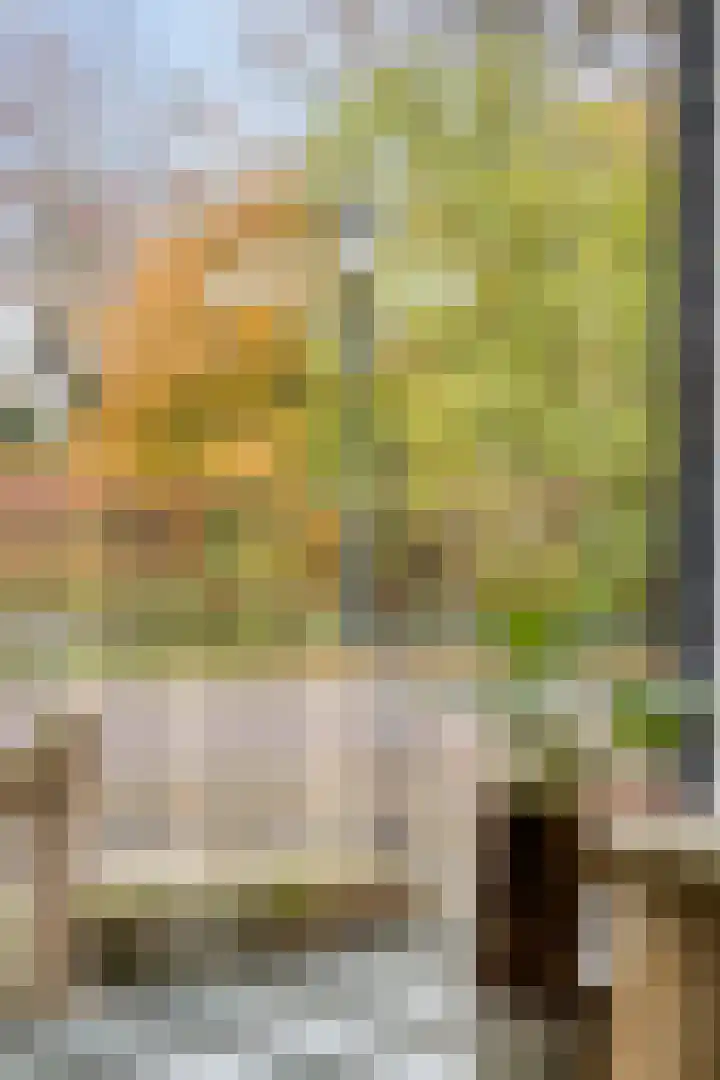 Oostsingel 140 Goes thumbnail 23