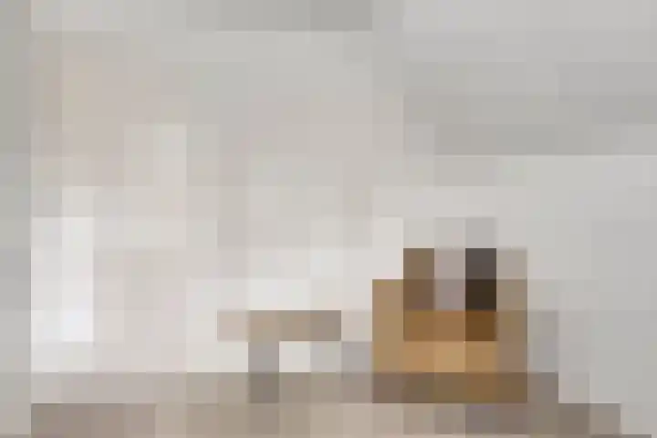 Oostsingel 140 Goes thumbnail 31