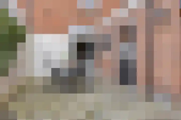 Oostsingel 140 Goes thumbnail 44