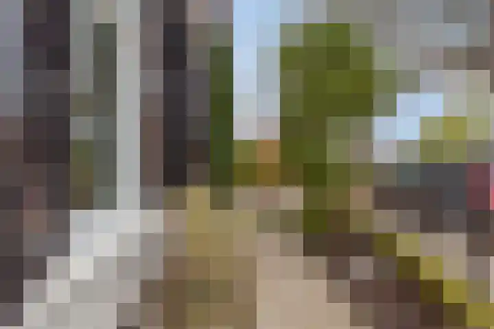 Oostsingel 140 Goes thumbnail 5