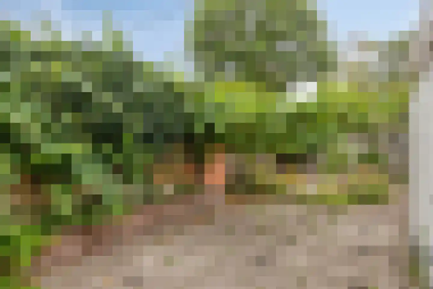 Oostsingel 144 Goes thumbnail 20