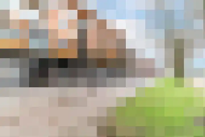 Oostsingel 148 C Delft thumbnail 6