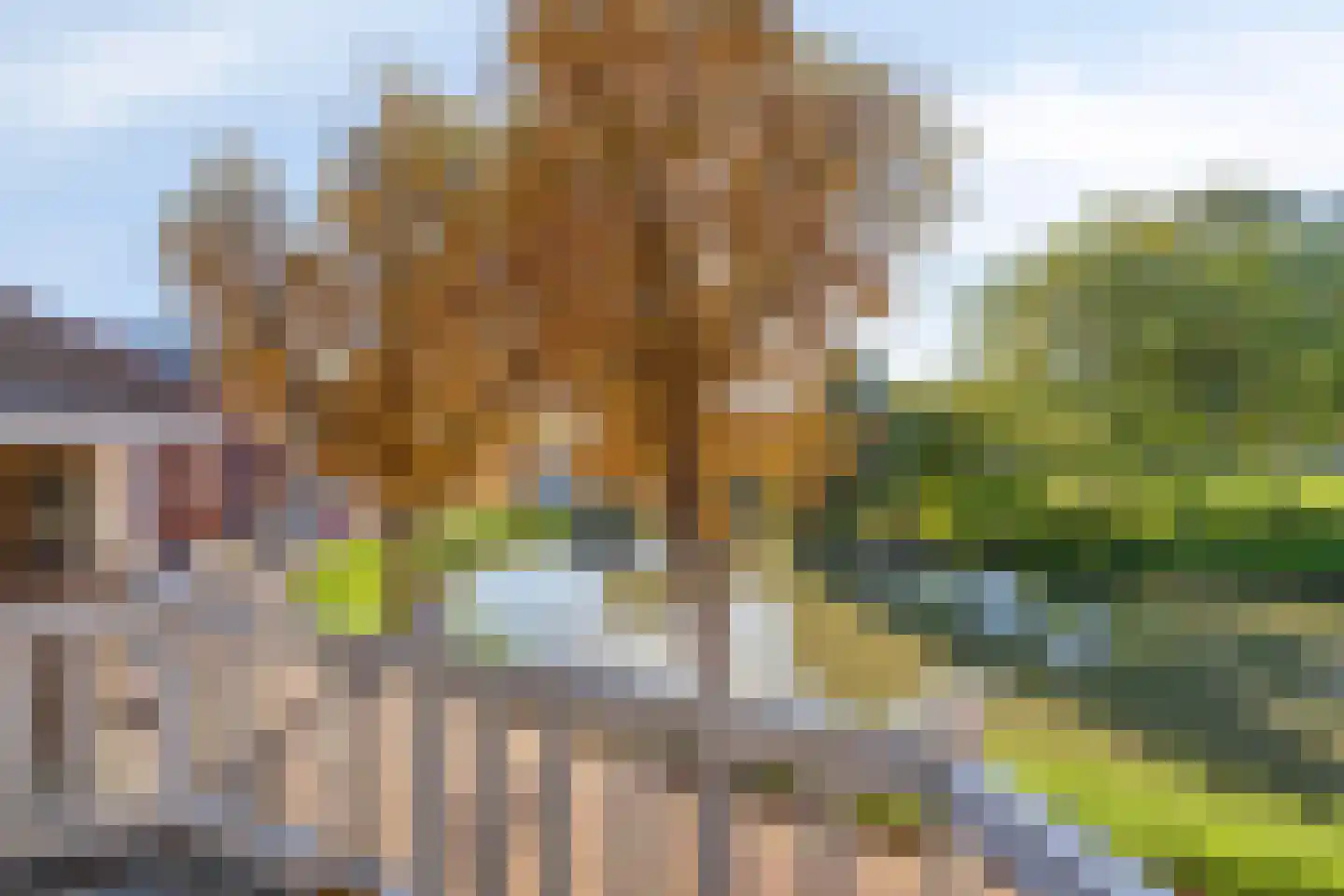 Oostsingel 156 Goes thumbnail 39