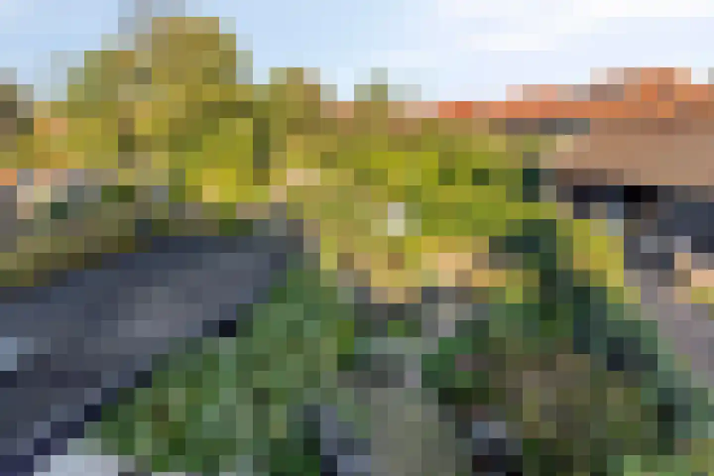 Oostsingel 156 Goes thumbnail 48