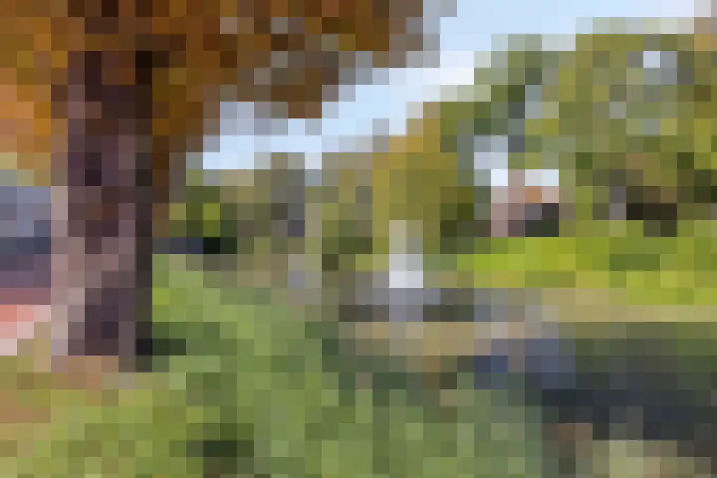 Oostsingel 156 Goes thumbnail 58