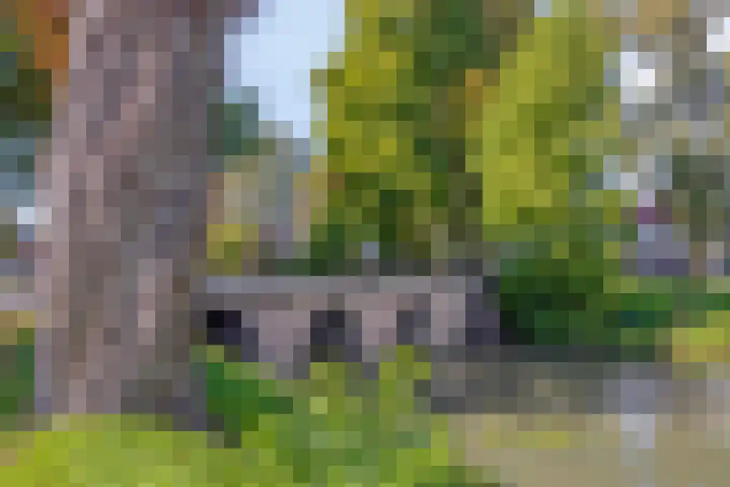Oostsingel 156 Goes thumbnail 59
