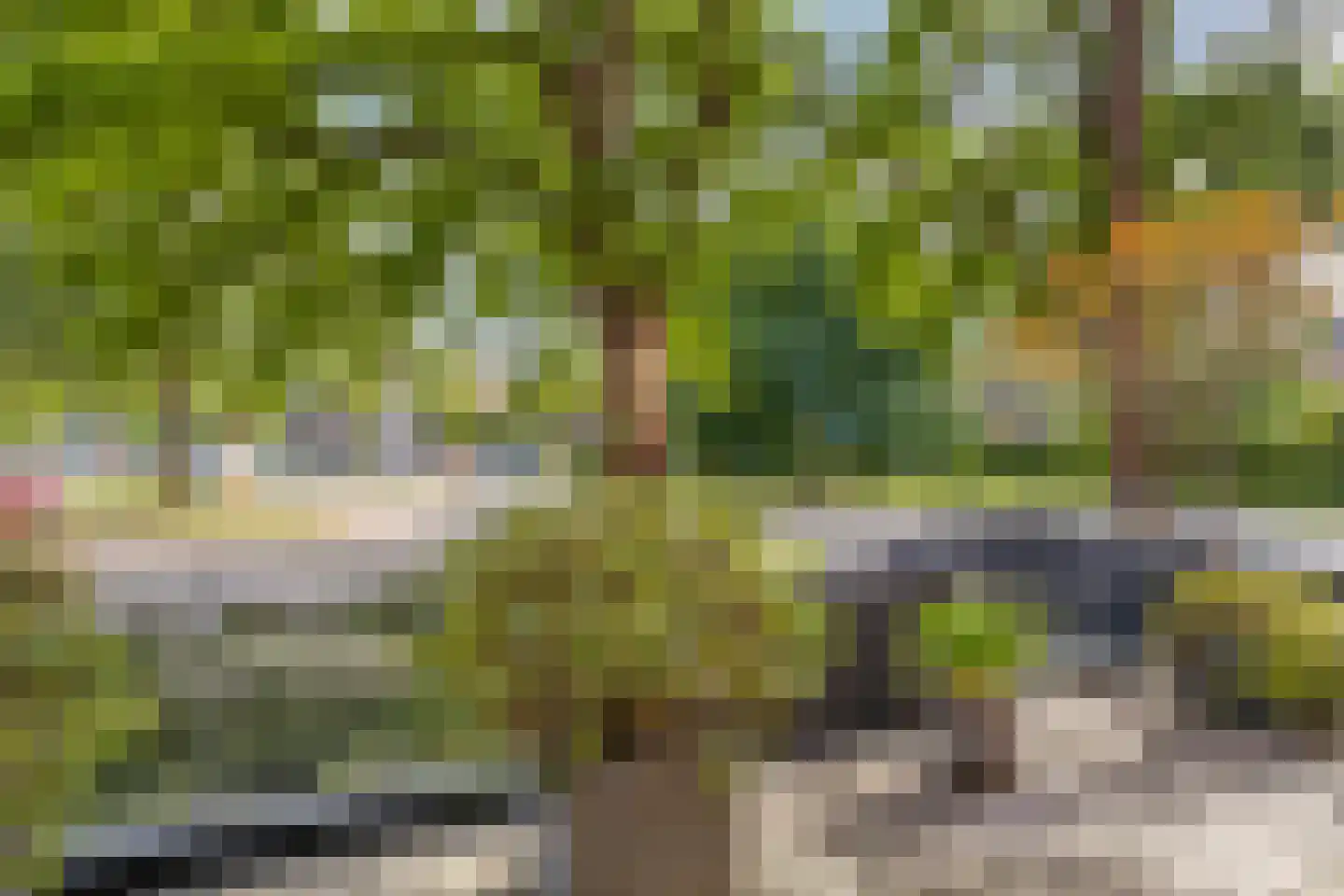 Oostsingel 2 01 Goes thumbnail 40