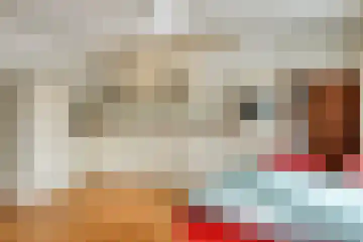 Oostsingel 2 05 Goes thumbnail 14